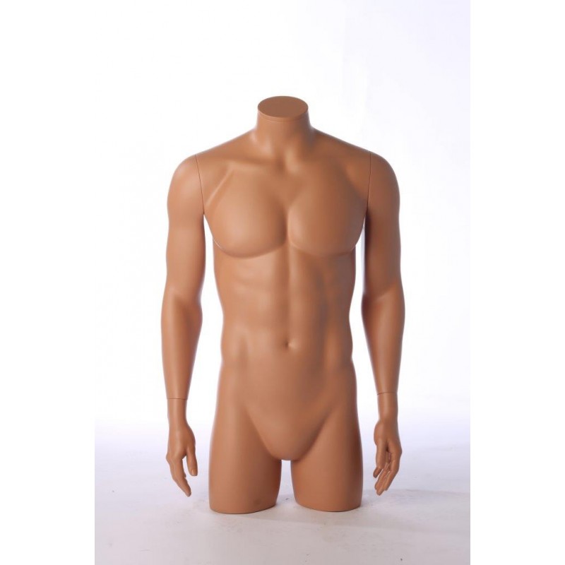 MALE TORSO WITH ARMS