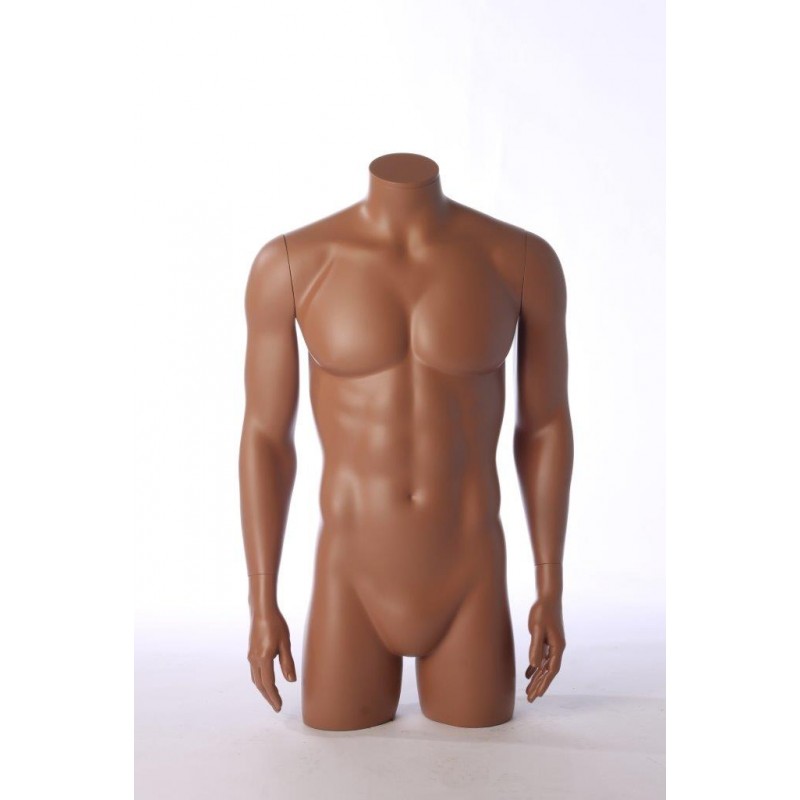 MALE TORSO WITH ARMS
