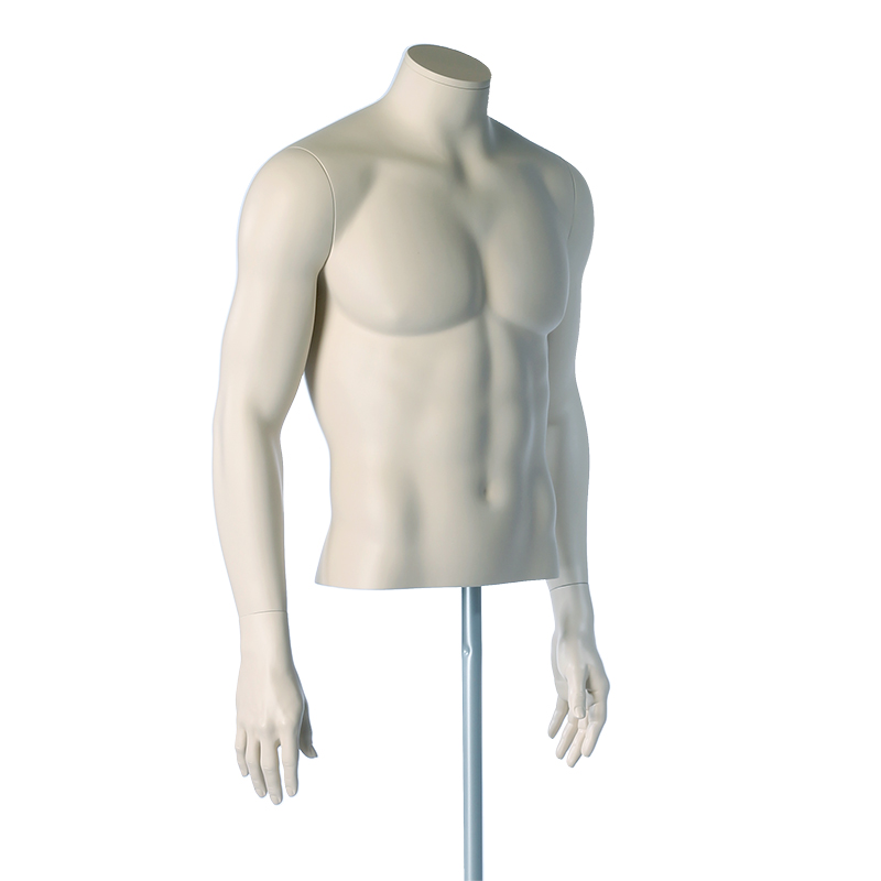 SHORT MALE TORSO WITH ARMS - DARROL