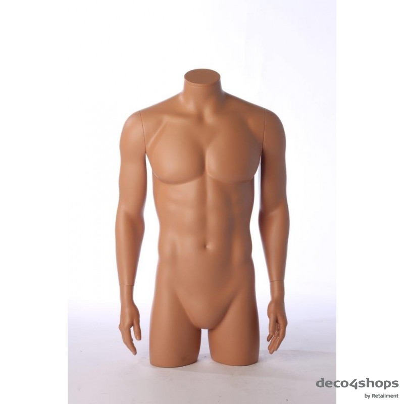 MALE TORSO WITH ARMS