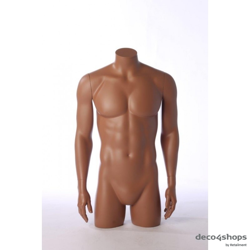 MALE TORSO WITH ARMS