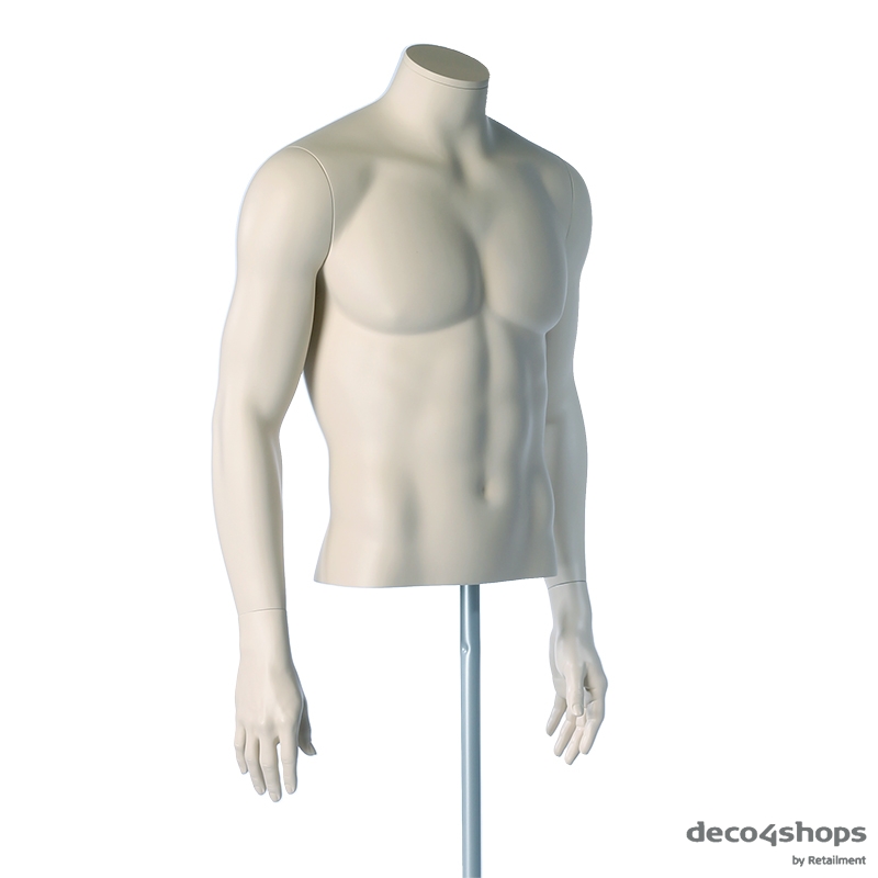 SHORT MALE TORSO WITH ARMS - DARROL